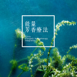 2024 Hha Eai Featured Image Full