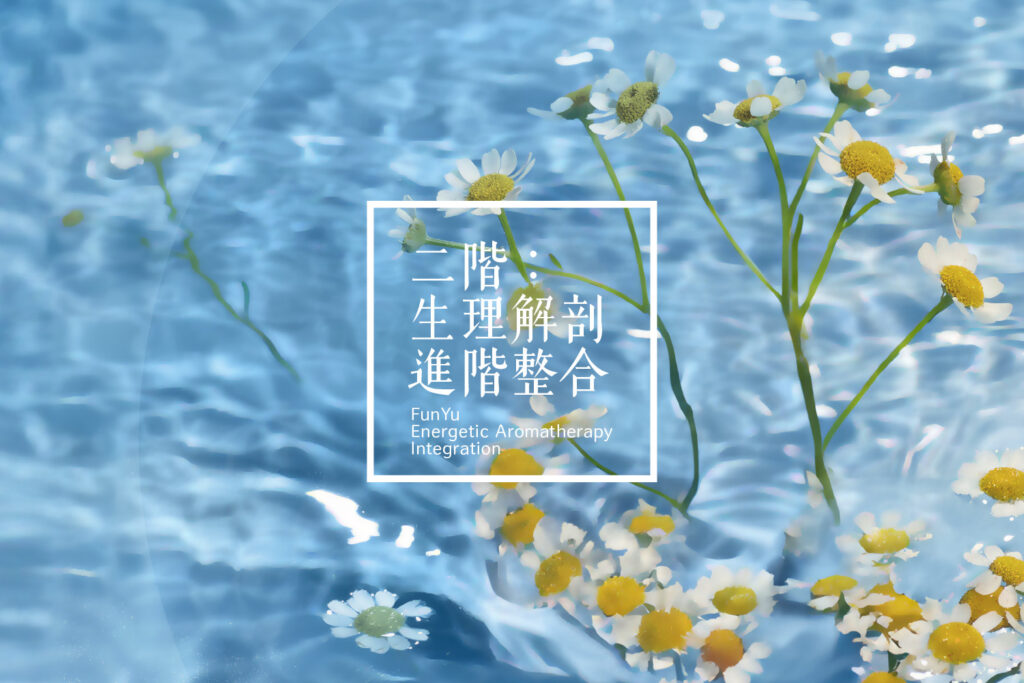 2024 Hha Eai Featured Image L2