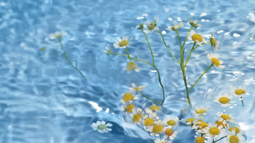 2024 Hha Eai Hd Bg L2